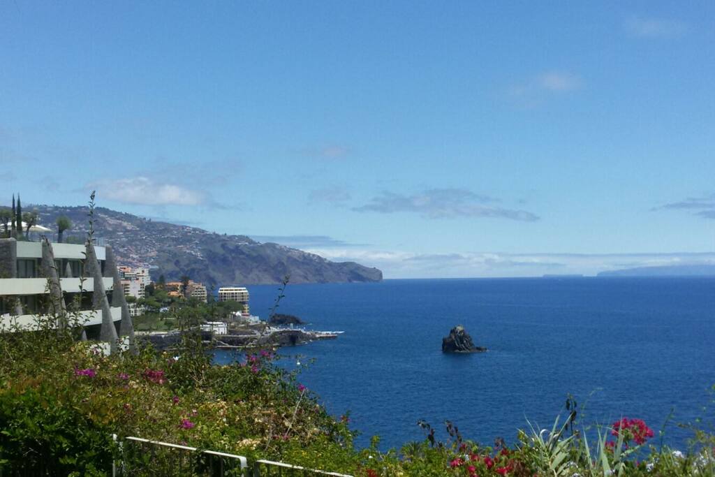 view from the pool