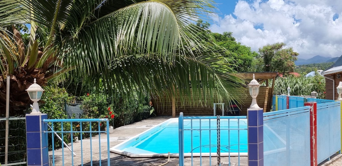 A sparkling salt-water pool is surrounded by a spacious patio, enclosed by a blue and white fence. Lush greenery, including palm trees, is visible in the background, with a bright blue sky dotted with white clouds overhead.