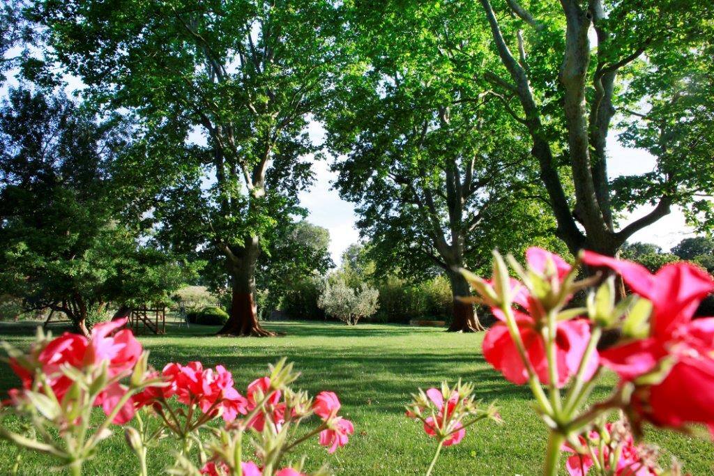 Le parc
