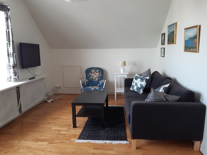 סלון סלון וטלוויזיה