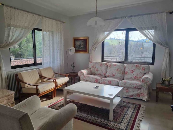 Villa In Trilofos-close To The Beach - Перея