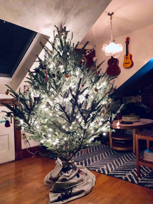 Enjoy your Xmas chez nous!