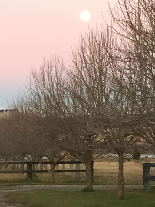 Moonrise in Winter.