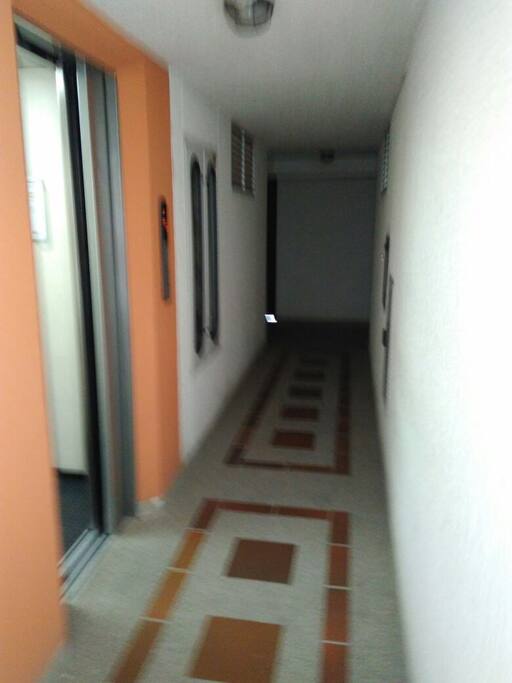 Elevator and hall to the apartment.