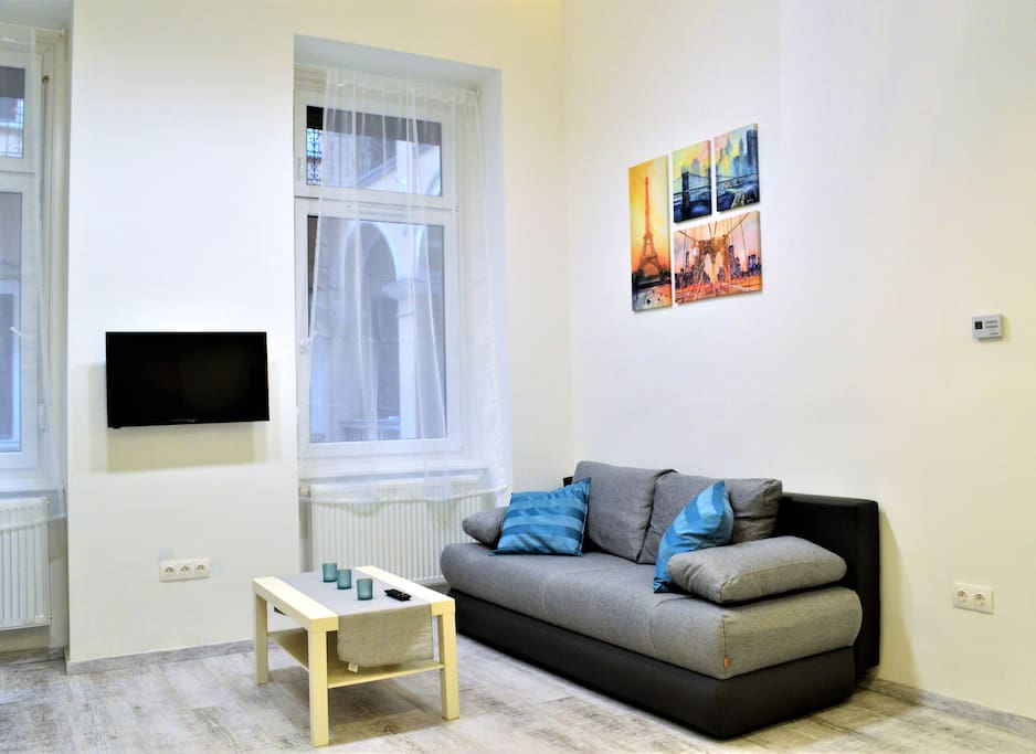 the living room with the sofa and the LED TV with cable channels