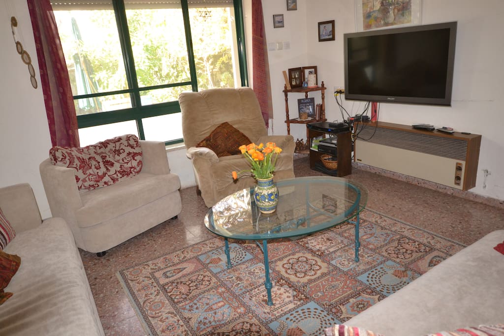 Spacious living room