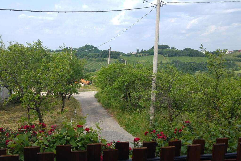 vista