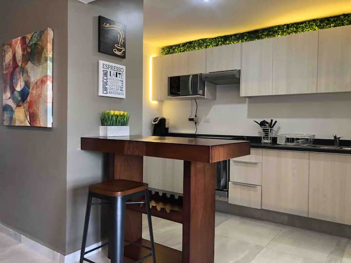 Special & fully equipped apartment, HomeOffice Condominiums for Rent in Qro., Qro., Mexico