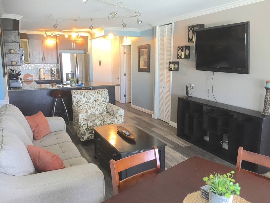 New Sofa Bed, purchased July 2018 / All new flooring June 2018