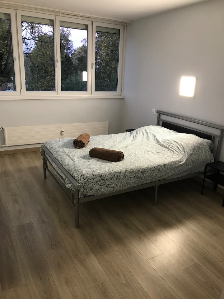 Втора спалня с двойно легло, която не се пренебрегва с електрически капак и зеленина