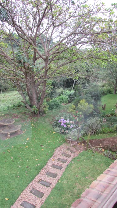 The view from the lounge.