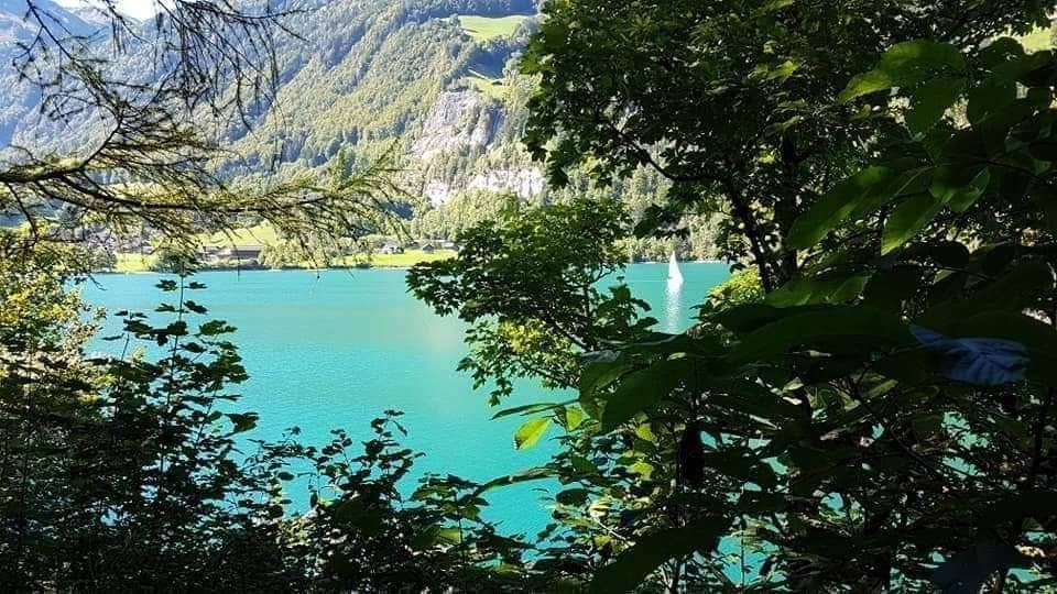A tranquil view of Lungerersee is framed by lush greenery, highlighting the vivid turquoise water. Distant hills and rocky cliffs provide a natural backdrop, while a small sailboat can be seen gliding across the water, adding a serene touch to the landscape.