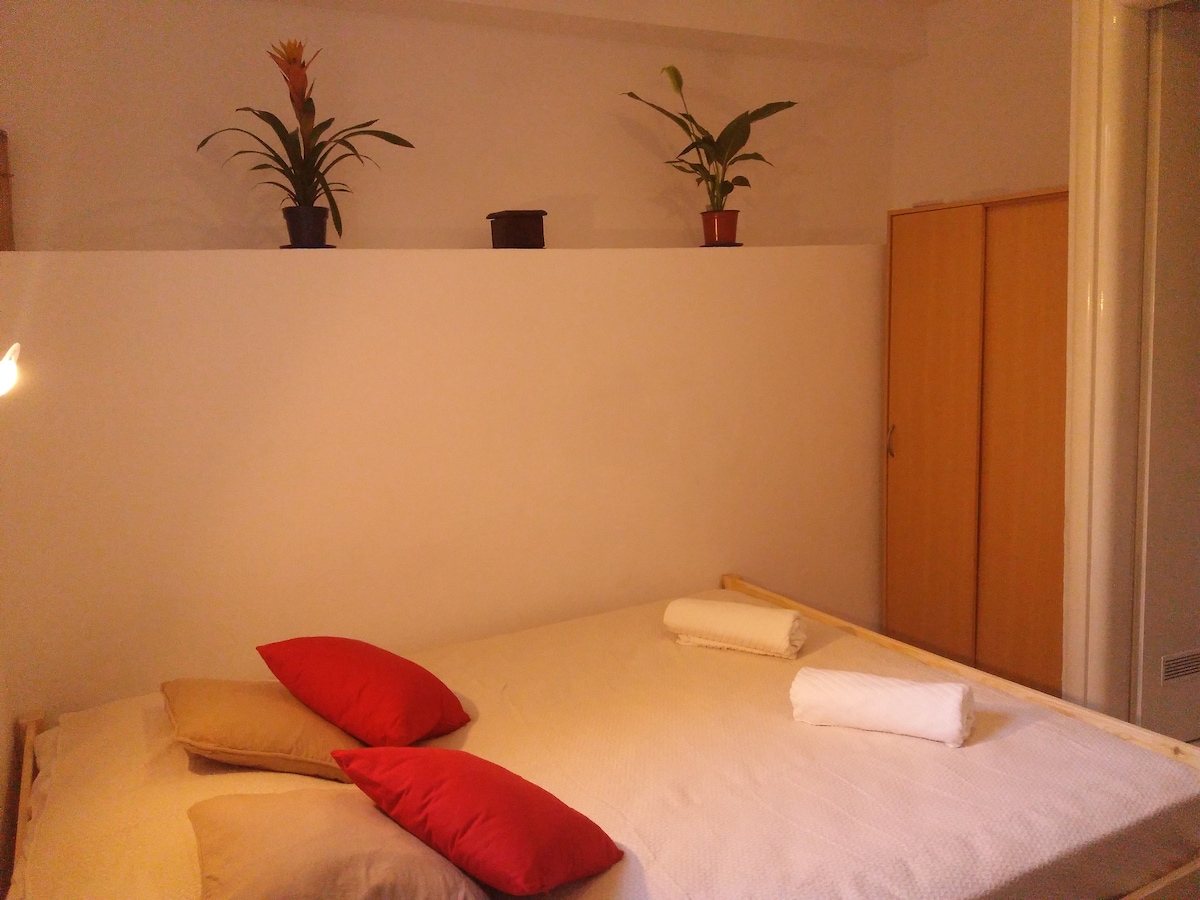 A cozy sleeping area features a spacious bed adorned with red and neutral-colored pillows. Above the bed, potted plants bring a touch of greenery. A wooden wardrobe is positioned nearby, contributing to the functional layout of the studio.