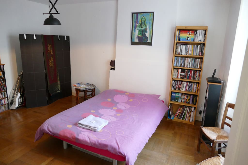 Votre grande chambre, avec collection de BD pour les amateurs // Your big room with a large collection of French comics books !