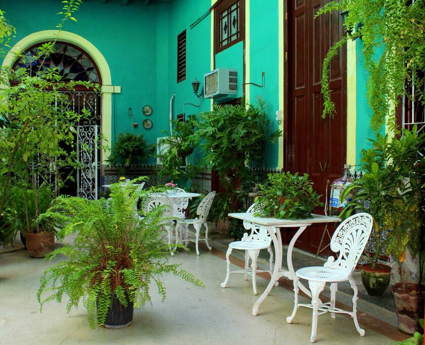 Beautiful yard take your breakfasts