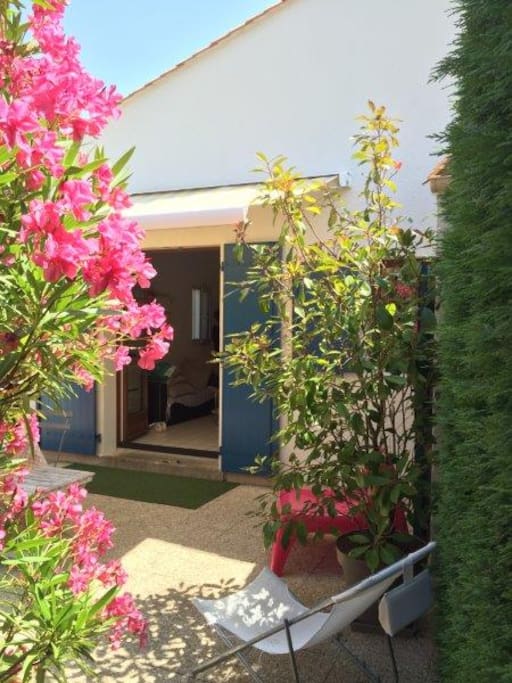 Vue du jardin depuis l'accès