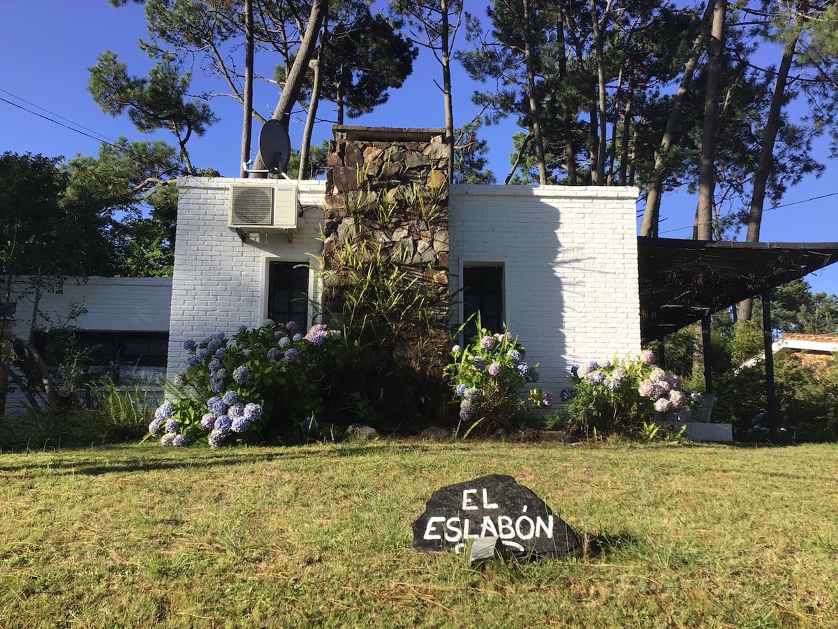 A charming house with a white exterior and a decorative stone wall is surrounded by vibrant greenery. Colorful hydrangeas bloom in the foreground. The home is framed by tall trees, contributing to a serene outdoor setting.