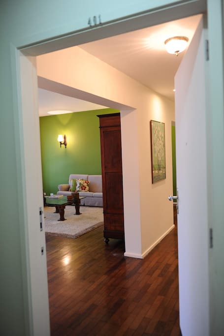VIEW FROM THE ENTRANCE DOOR