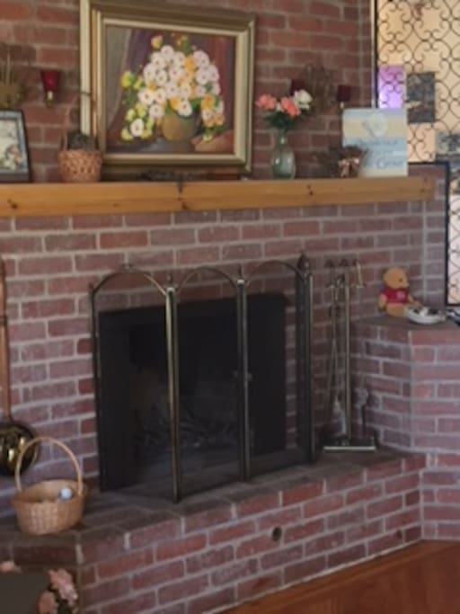 Wood burning fireplace