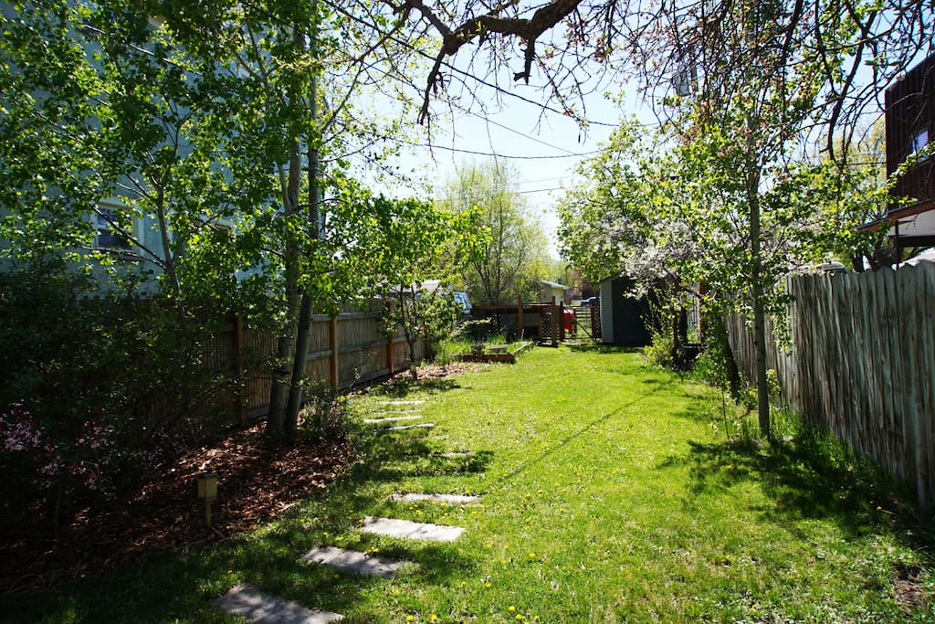 Backyard