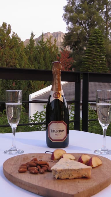 Enjoy fine wine and food in the winelands
