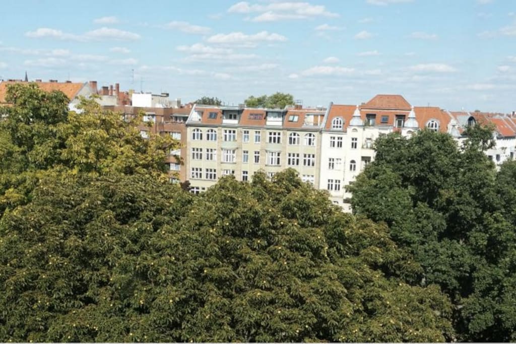 from the rooftop view