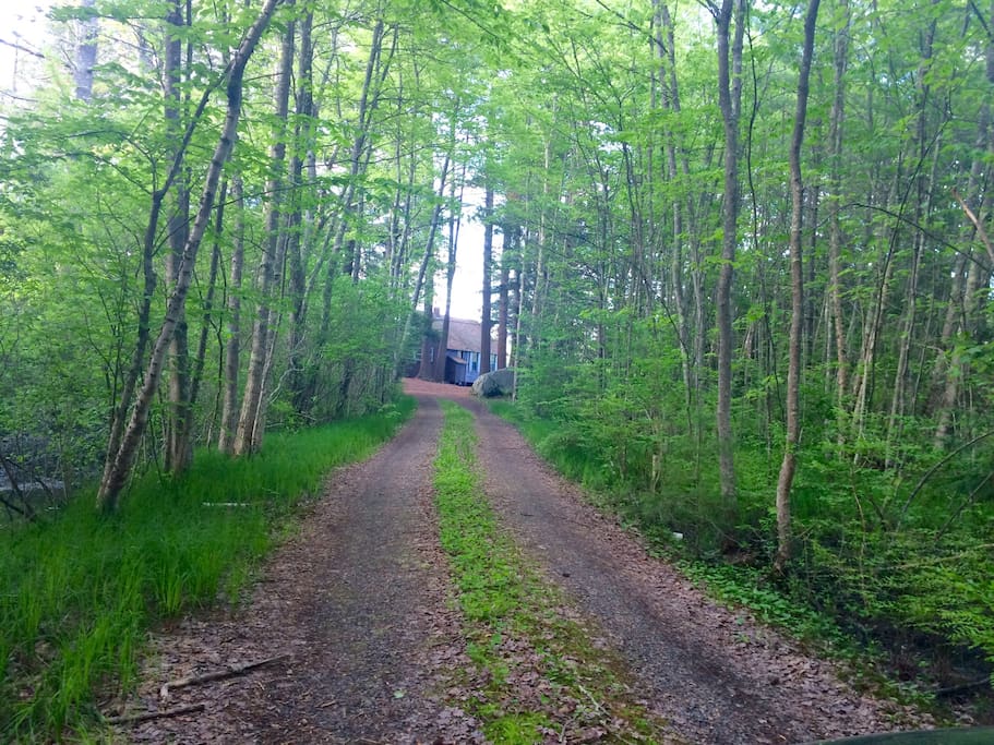 Our driveway