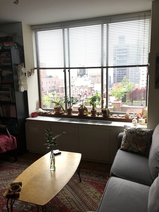 Living room window