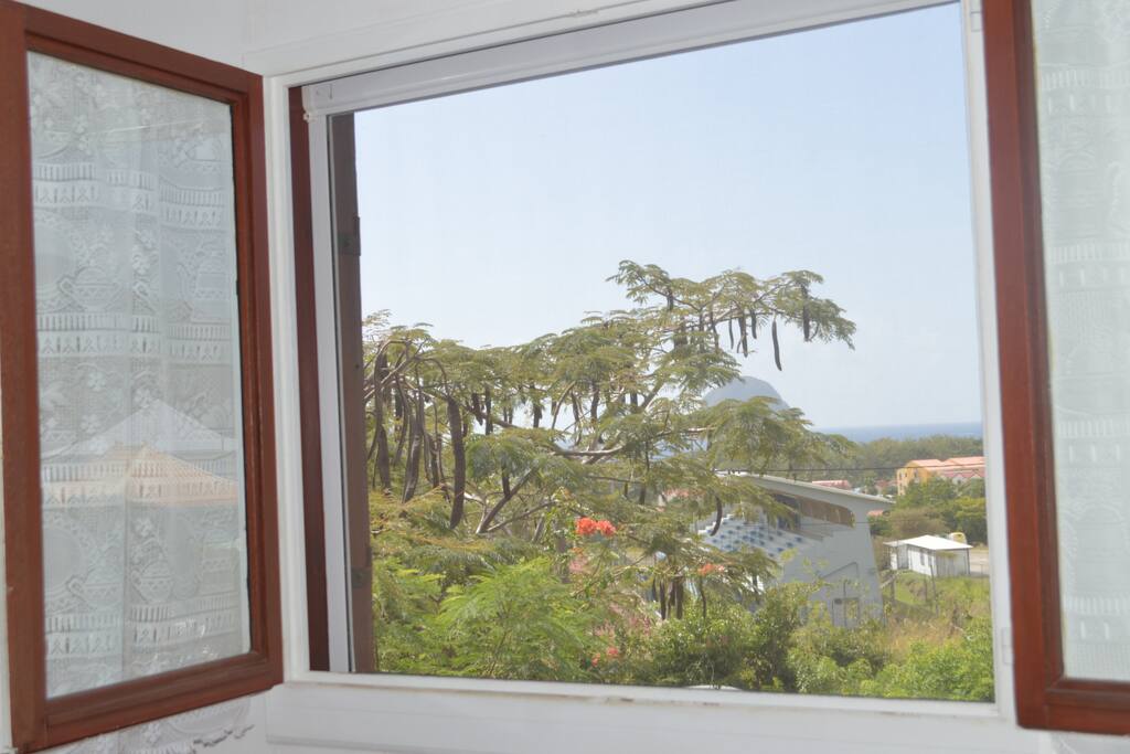 Vue de la fenêtre du salon