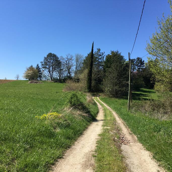 chemin privé vers la maison