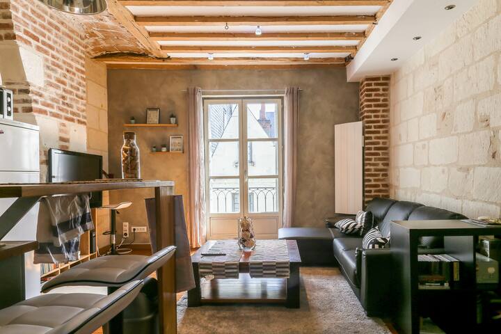 Typical apartment of Tours - historical center