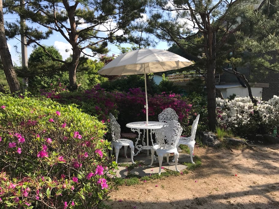 앞마당