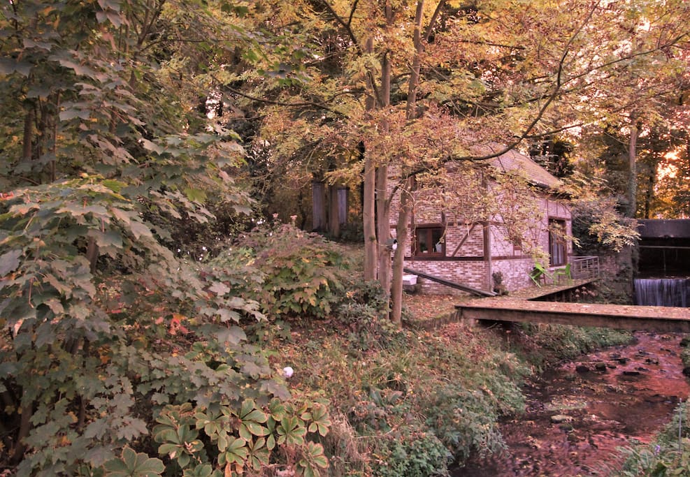Herfst