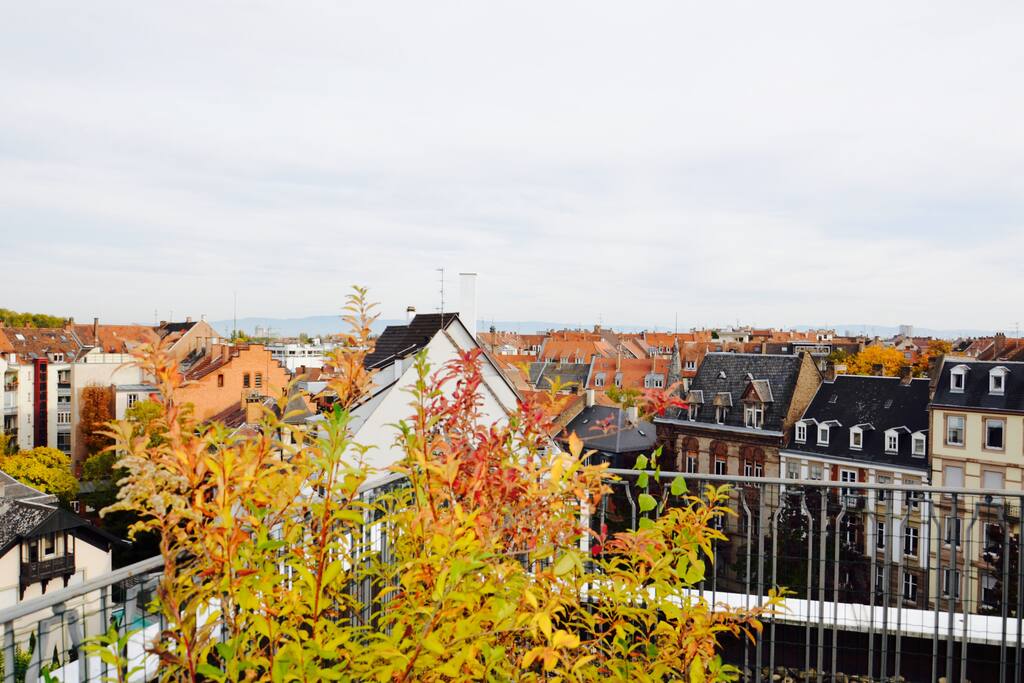 Une vue imprenable à plus de 180 sur Strasbourg