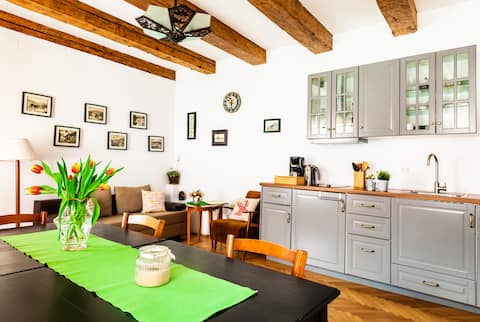 Grandma's Apartment in Old City Center