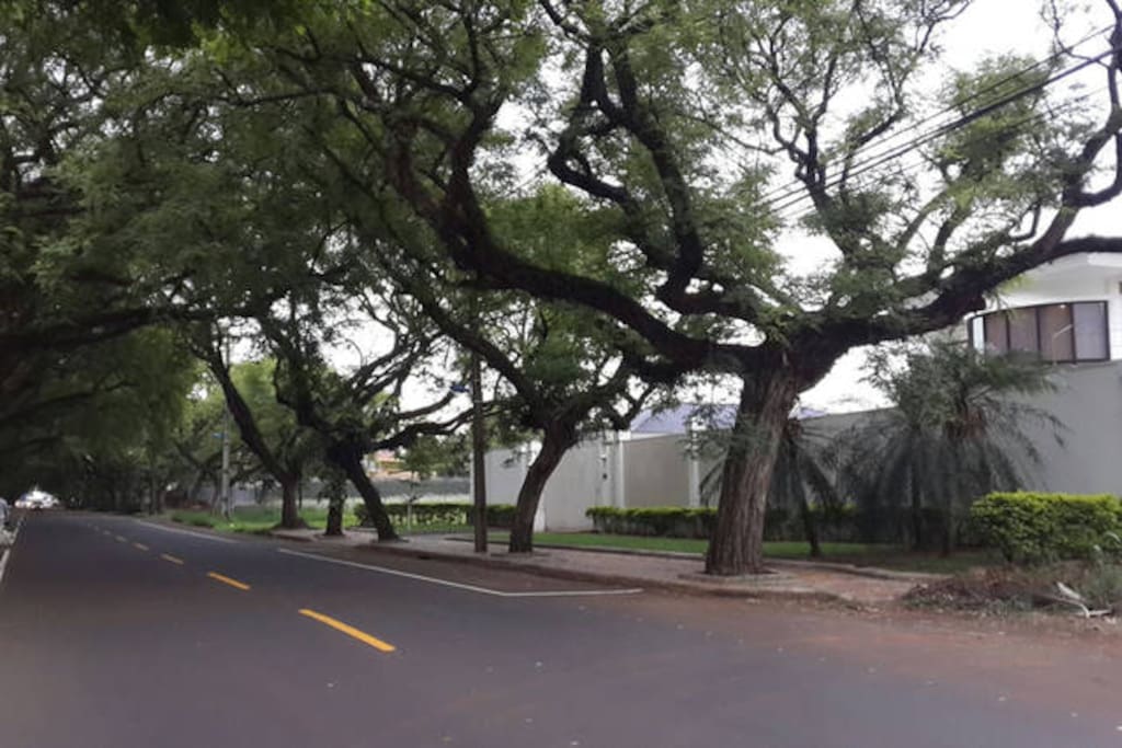 Street - Avenue View