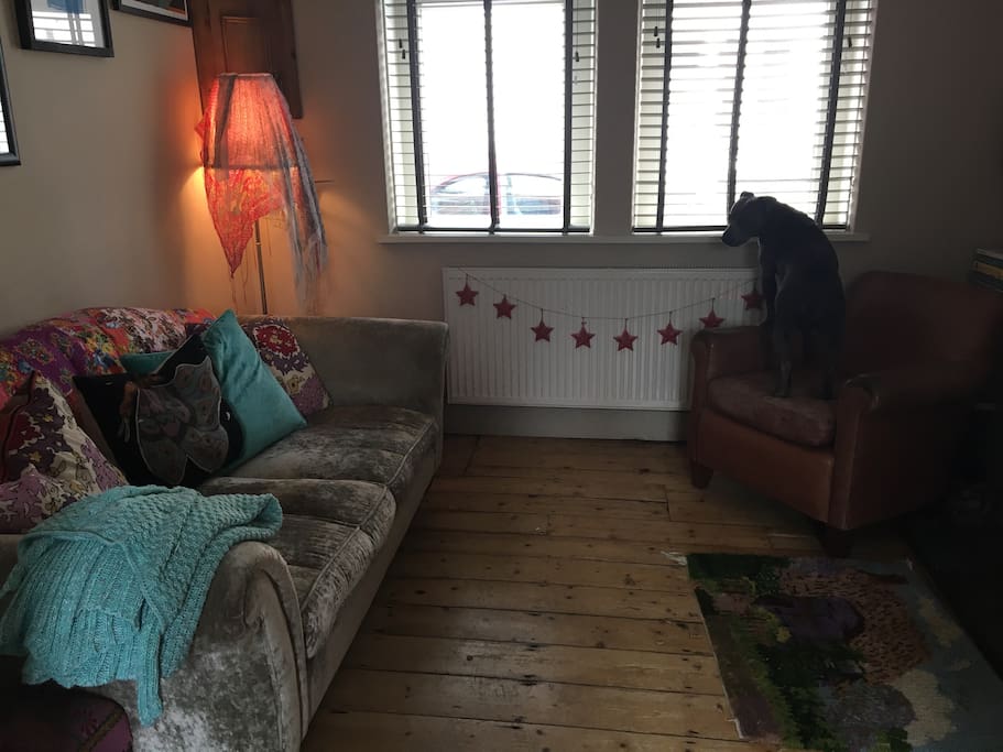 Living room complete with dog