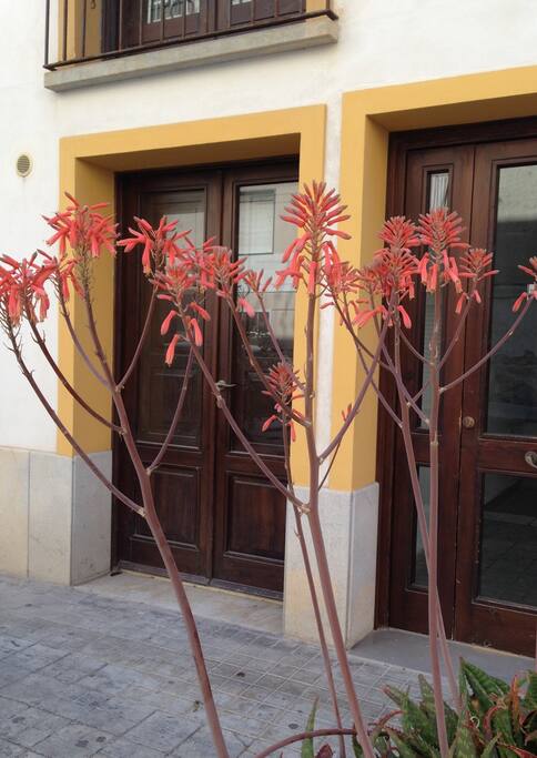 Entrata - Entry
