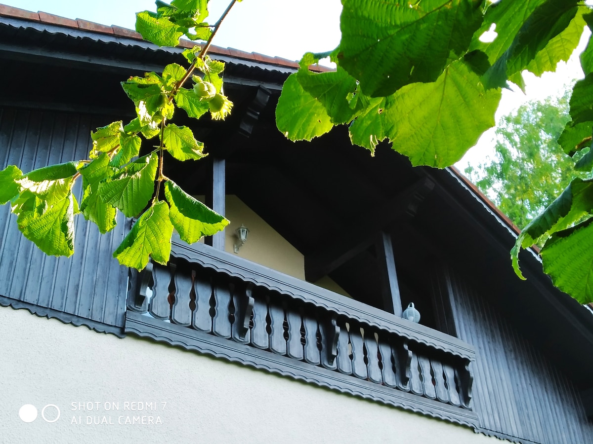 A wooden balcony with decorative railing is visible on the upper level of a two-story building. Leafy branches frame the image, adding a touch of greenery. The building features contrasting dark wood and light-colored walls, enhancing its rustic charm.