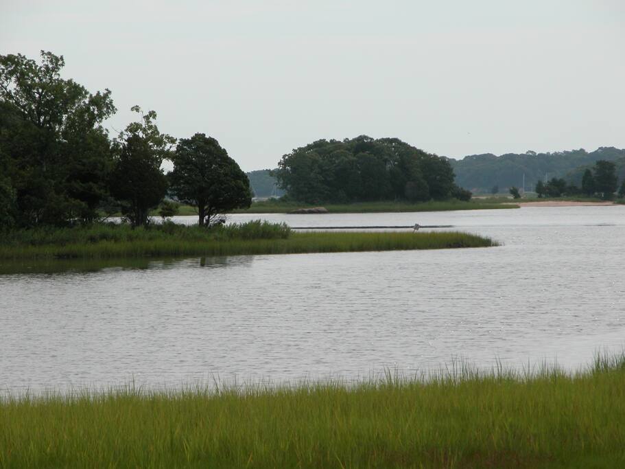 Congdon's Creek