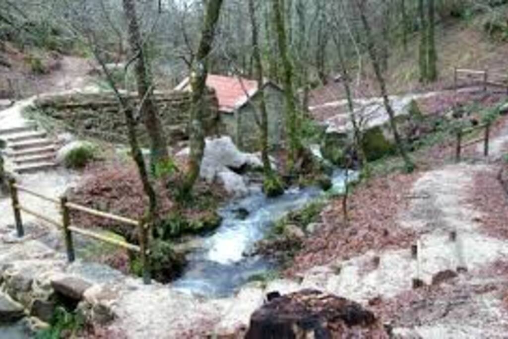 conjunto de antiguos molinos restaurados. Hay una gran variedad en los alrededores del alojamiento.