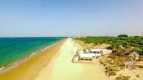 Sea and Pinos