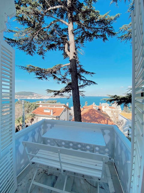 Peaceful mansion apartment with sea views