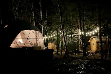 The Woodland Hive and Forest Spa