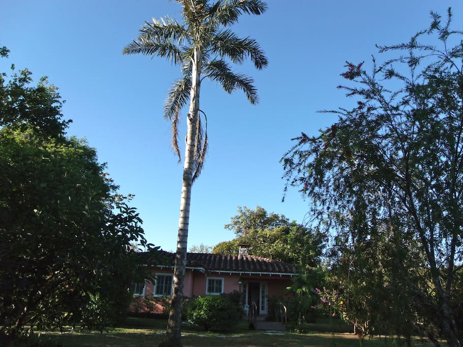 Large Garden