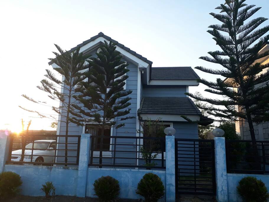 The house
