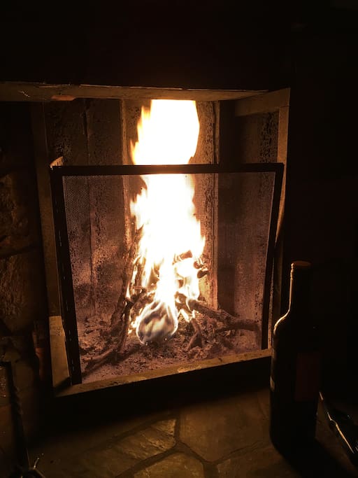 Fireplace in the living room