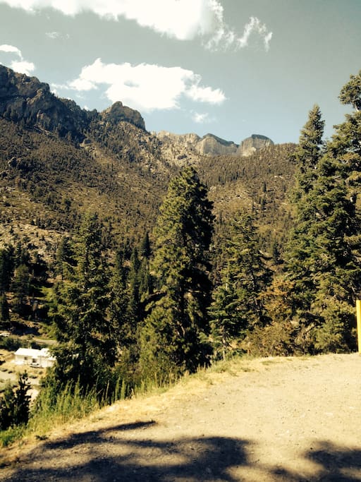Mt Charleston Forest/Camping less than hr away