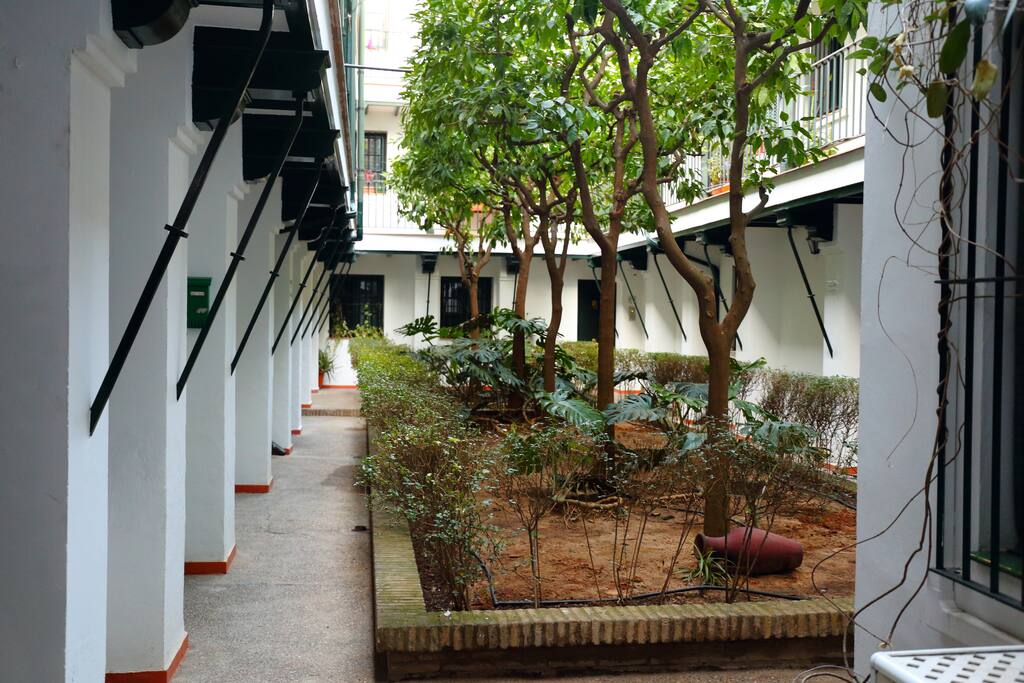 Patio principal / Typical Andalusian patio