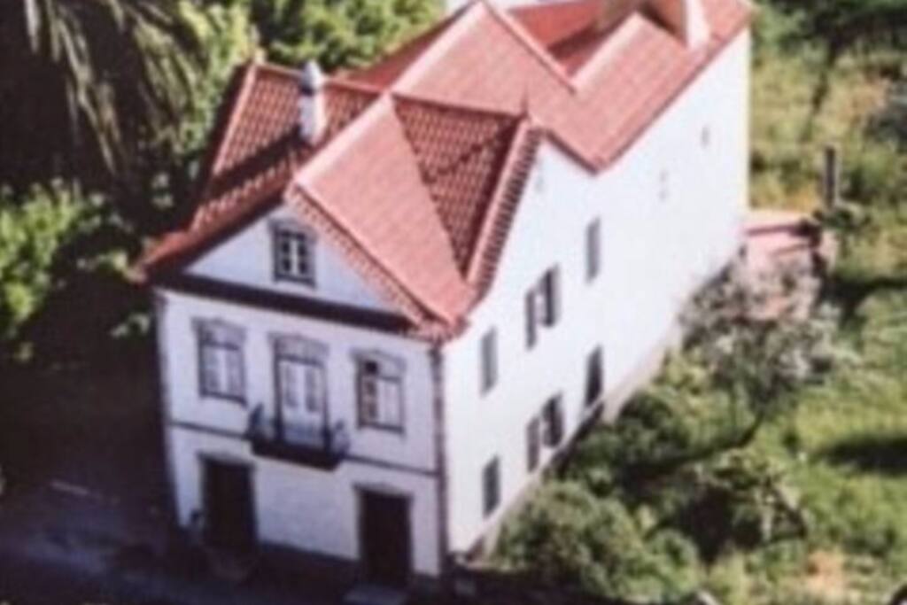 The house in bird perspective